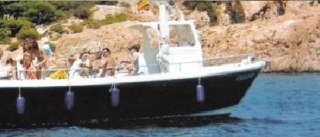 Excursión de 2 horas por la costa